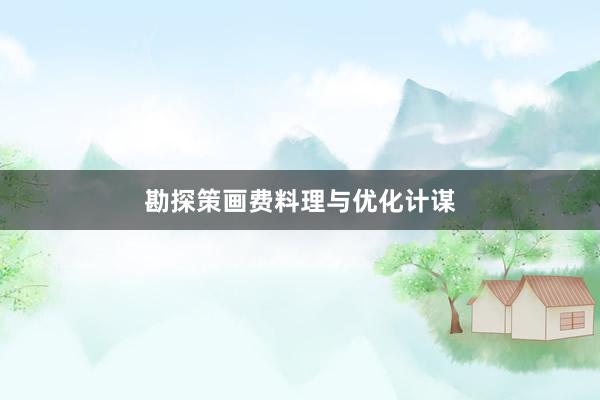 勘探策画费料理与优化计谋