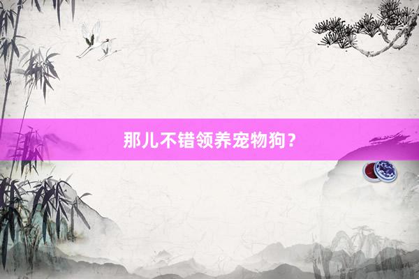 那儿不错领养宠物狗？