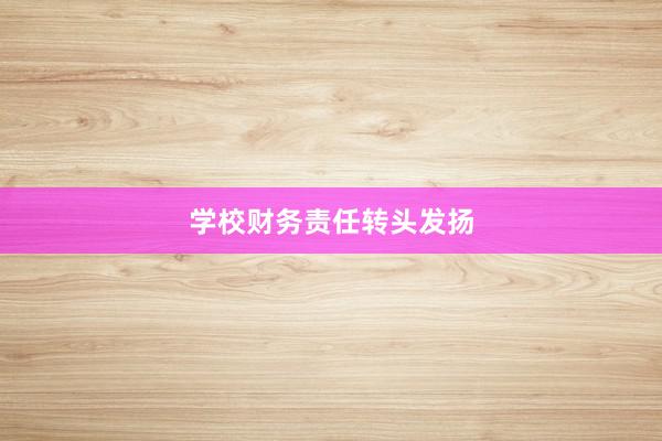 学校财务责任转头发扬