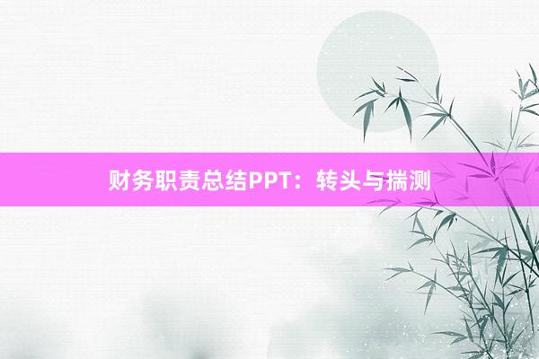 财务职责总结PPT：转头与揣测