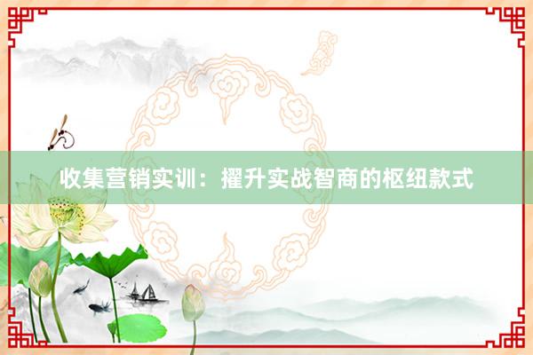 收集营销实训：擢升实战智商的枢纽款式